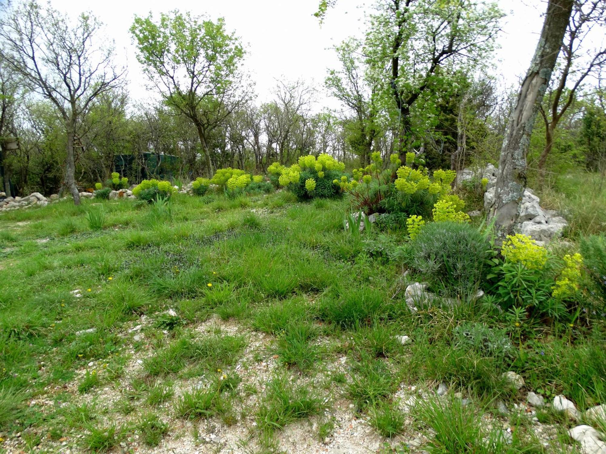 Dumic Apartment Crikvenica